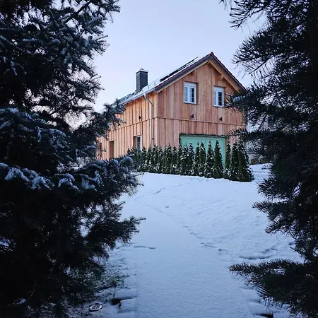 Holz9 Reichenwalde