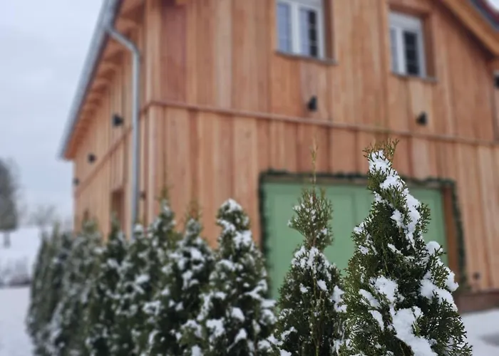 Holz9 Апартаменты